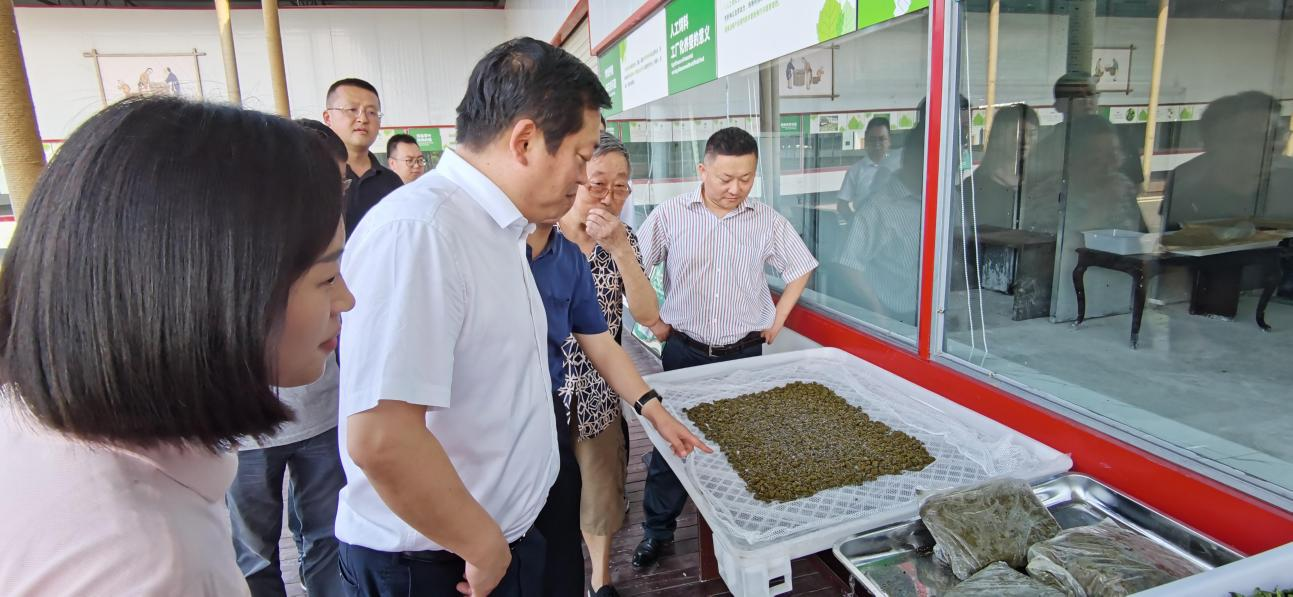 省拉斯维加斯9888集团党委副书记、董事陈日赴嘉陵区调研茶桑产业发展情况