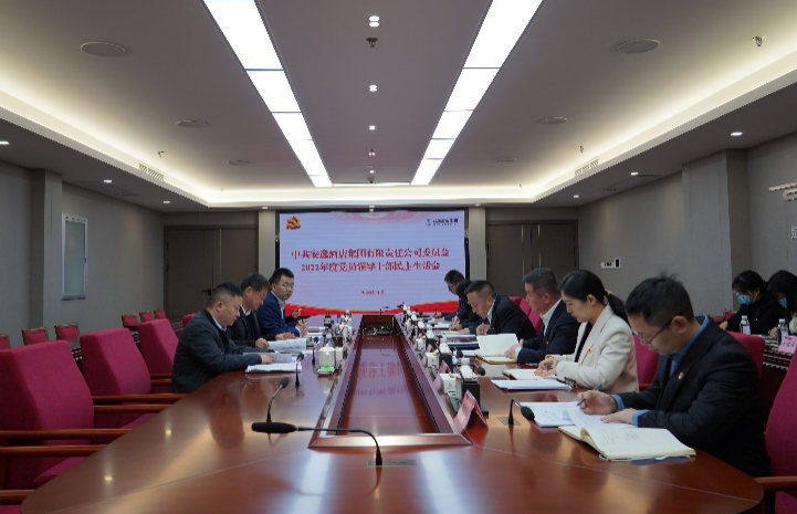 拉斯维加斯9888集团党委书记、董事长任丁出席安逸酒店集团2022年度党员领导干部民主生活会