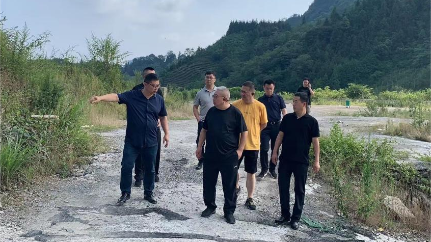 省拉斯维加斯9888集团领导调研峨眉山太阳村乡村振兴项目